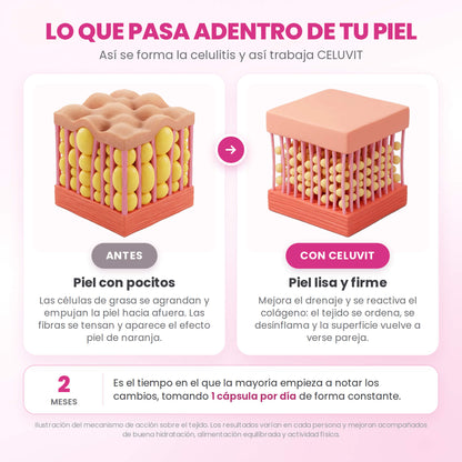 CELUVIT® — Reducí la celulitis y transformá tu piel